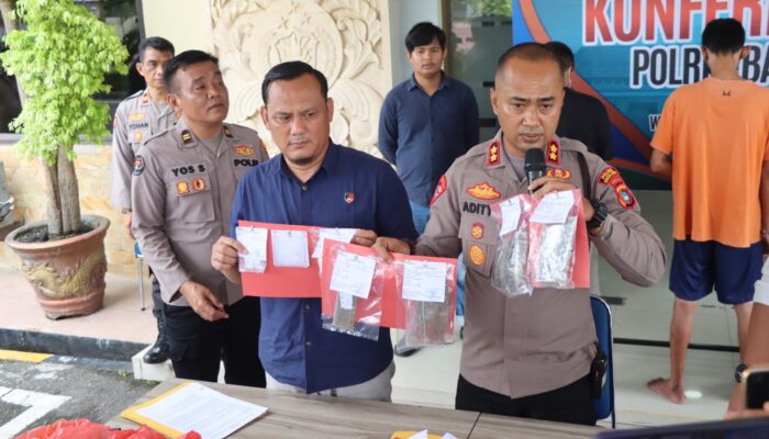 Polisi Bekuk 3 Bandar Ganja dan Sabu di Mentok