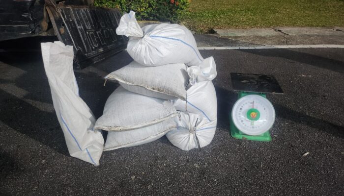 Tim Gabungan Amankan Ratusan Kilogram Pasir Timah Ilegal dari Kolektor di Parittiga