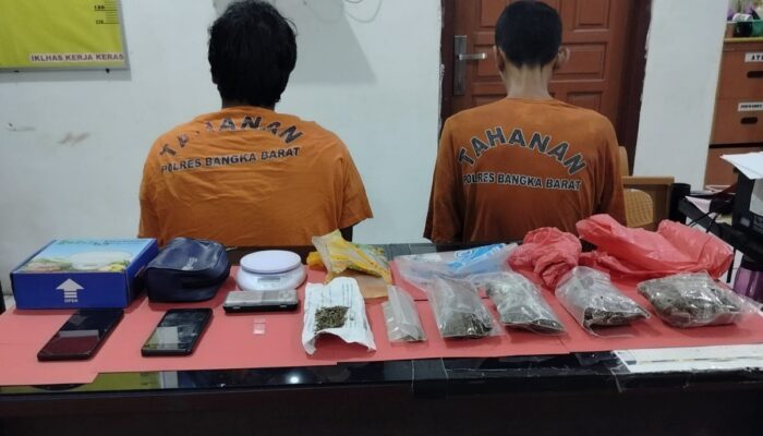 2 Pria di Mentok Dibekuk Polisi Gegara Sabu dan Ganja