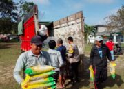 Polres Bangka Barat Bantu Ratusan Ribu Warga Lewat Distribusi Beras SPHP