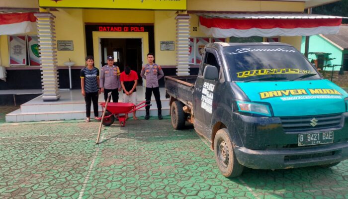 Polisi Bekuk Pencuri Buah Sawit PT. BPL Babar, 2 Pelaku Kabur