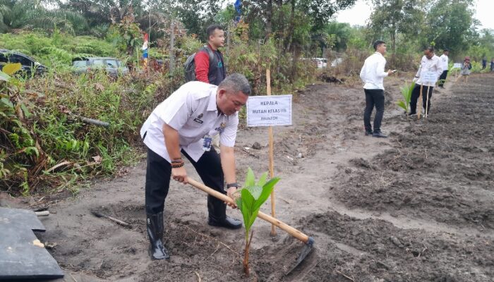 Karutan Mentok Tanam Ribuan Pohon Kelapa Dukung Program Ketahanan Pangan Kemenpas