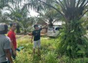 Polres Babar Bekuk 2 Pencuri Buah Sawit, Pencurian Dilakukan Malam Hari