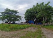 Pondok milik warga pendatang. Foto: Rizki Ramadhani.
