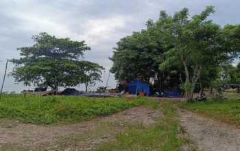 Pondok milik warga pendatang. Foto: Rizki Ramadhani.