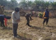 Penanaman jagung di Desa Mislak. Foto: Ist.