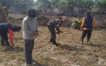 Penanaman jagung di Desa Mislak. Foto: Ist.