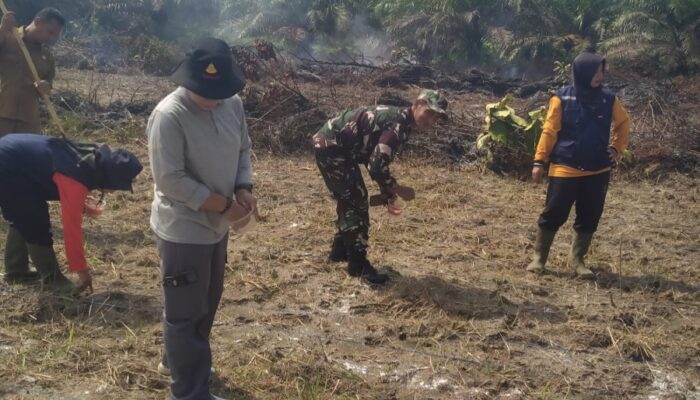 Kodim 0431/Babar Tanam Jagung di Jebus Dukung Ketahanan Pangan