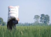 Harga pupuk turun. Foto: Ist/Pertanian.go.id