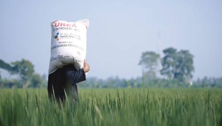 Harga pupuk turun. Foto: Ist/Pertanian.go.id