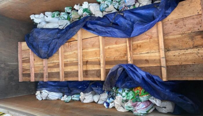 Satgas Halilintar Amankan 7 Ton Timah yang Hendak Diselundupkan ke Luar Negeri