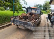 Barang bukti diamankan Polsek Simpang Teritip. Foto: Humas