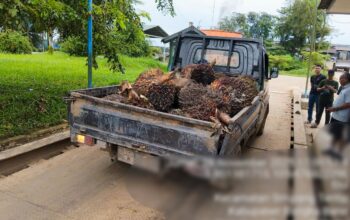 Barang bukti diamankan Polsek Simpang Teritip. Foto: Humas