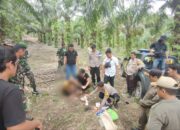 Penambang diamankan tim gabungan. Foto: Istimewa.