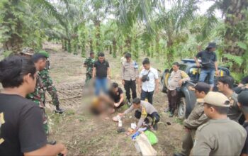 Penambang diamankan tim gabungan. Foto: Istimewa.