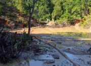 Kerusakan Hutan Menumbing. Foto: Istimewa.