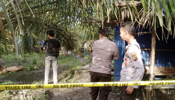 Komentar Kapolsek Jebus Soal Penemuan Mayat Pria di Kebun Sawit 