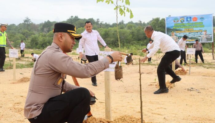 Lahan Bekas Tambang Ditanam Polres Babar 500 Pohon 