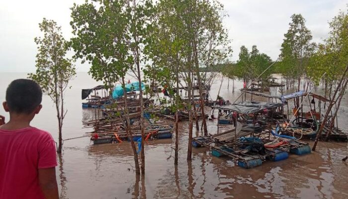 Aliran Timah Belo Laut Disebut Mengalir ke Kolektor Kadur