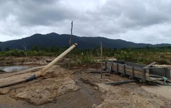 Tambang ilegal yang ditemukan petugas di Menumbing. Foto: Istimewa.