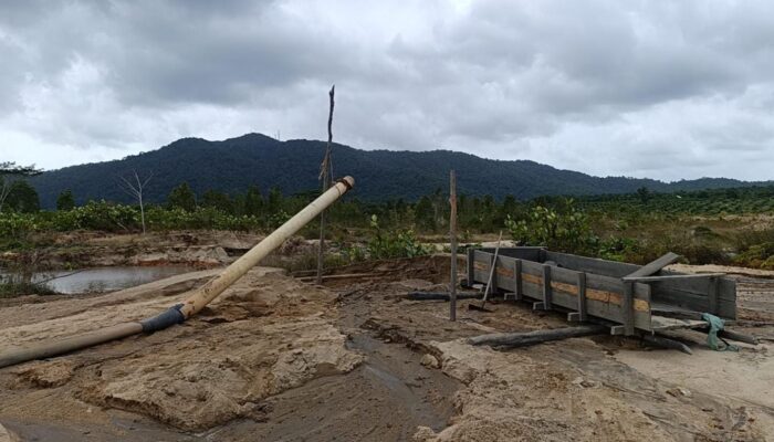 Cipto Soroti Tambang Ilegal Menumbing: Urusan Perut