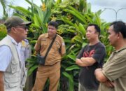 Peninjauan lokasi lampu jalan Mentok. Foto: Sandi.