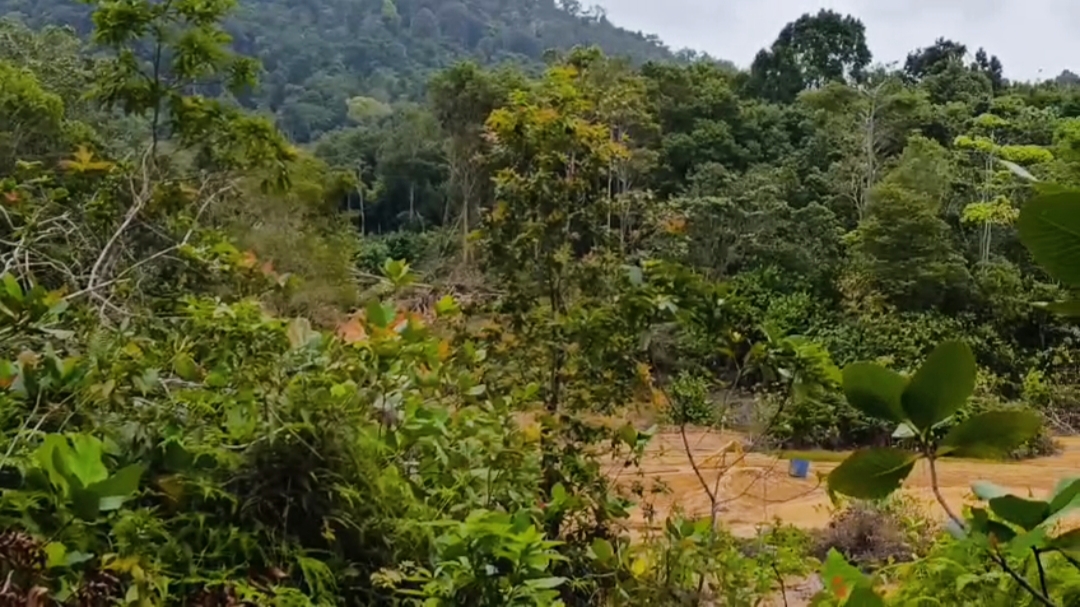 Aktivitas tambang timah hajar kawasan Bukit Menumbing. Foto: Rizki Ramadhani.