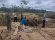 Petugas menertibkan tambang ilegal di Menumbing. Foto: Istimewa.