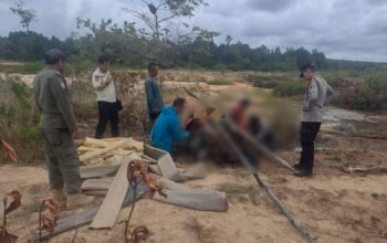 Petugas menertibkan tambang ilegal di Menumbing. Foto: Istimewa.