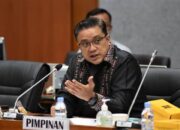 Anggota DPR RI, Dede Yusuf. Foto: Istimewa.