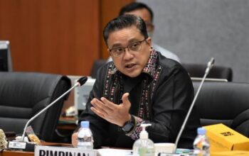 Anggota DPR RI, Dede Yusuf. Foto: Istimewa.