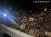 Dua Pelaku Pencurian Sawit PT BPL Ditangkap Polsek Kelapa