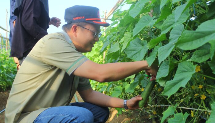 Markus Dukung Kemajuan Petani Lokal Bangka Barat