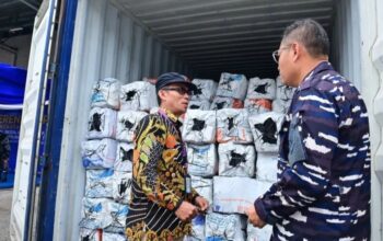 Ton arang Bakau yang diamankan TNi AL. Foto: Istimewa.