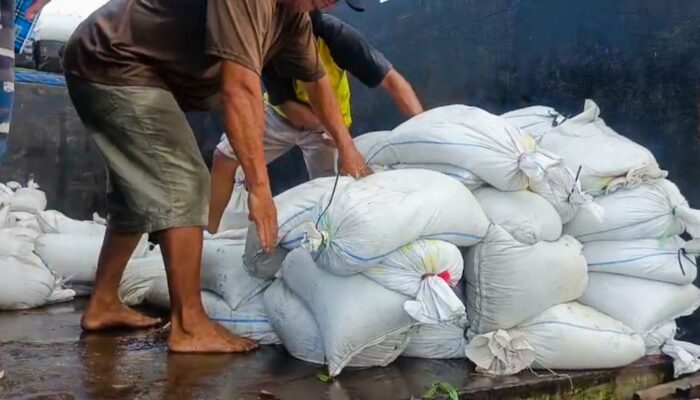 Petugas Gagalkan Penyelundupan 7,75 Ton Timah ke Jakarta 