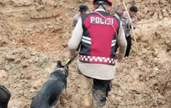 Proses evakuasi jenazah pekerja tambang timah Pondi. Foto: Istimewa.