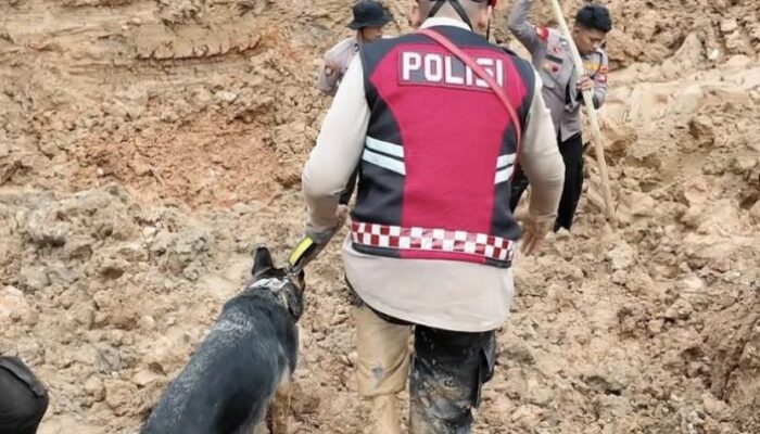 Polda Babel Kerahkan Tim Anjing Pelacak Cari 1 Penambang Timah yang Tertimbun Longsor
