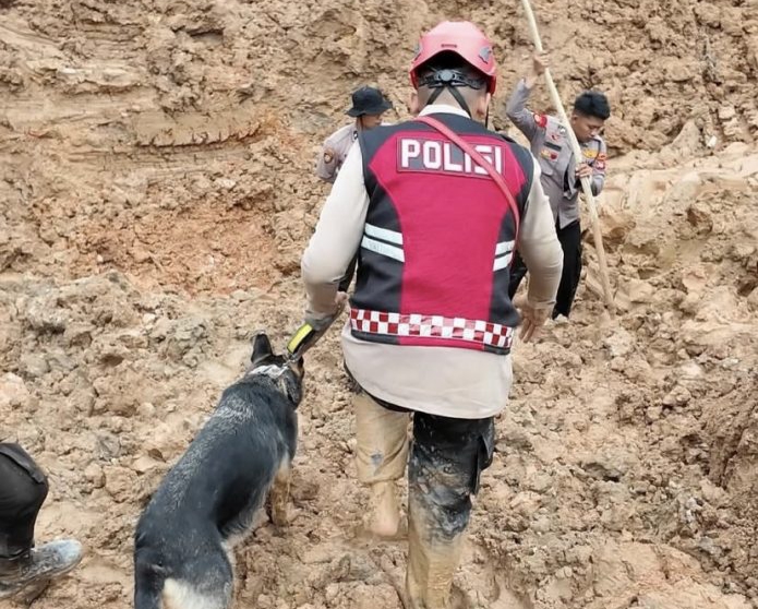 Proses evakuasi jenazah pekerja tambang timah Pondi. Foto: Istimewa.