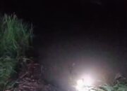 Warga mencari pemancing udang yang dikabarkan hilang di Sungai Menduk. Foto: Istimewa.