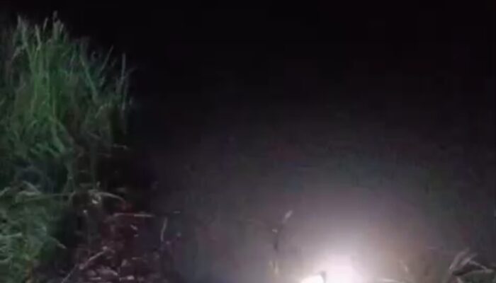 Pemancing Udang Dikabarkan Hilang di Sungai Menduk, Diduga Diserang Buaya