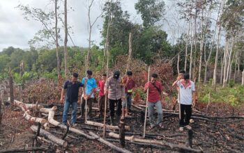 Kapolsek Simpang Teritip menanam jagung. Foto: Istimewa.