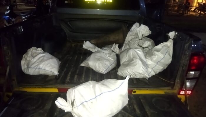 Penggerebekan Gudang Timah PT Tinus di Babar, 8 Terduga Pencuri Kabur Saat Tim Singo Datang