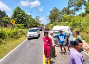 Kecelakaan di Berang menewaskan pengemudi mobil pikap. Foto: Istimewa.
