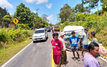Kecelakaan di Berang menewaskan pengemudi mobil pikap. Foto: Istimewa.