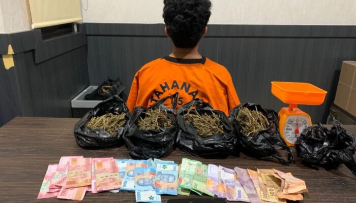 Ditresnarkoba Polda Babel Ringkus Bandar Ganja