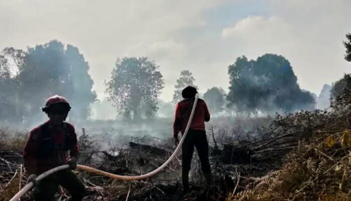 Ancaman Karhutla di Babar Menguat saat Musim Pancaroba