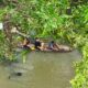 Pencarian nelayan hilang di Sungai Sirih Bangka Selatan. Foto: Istimewa.