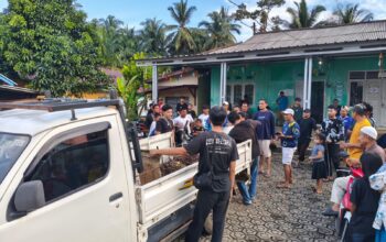 Dua pencuri sawit di Tempilang, Bangka Barat diamankan polisi. Foto: Istimewa.
