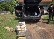 Balok timah dibawa ke Pos Satgas Halilintar. Foto: Istimewa.