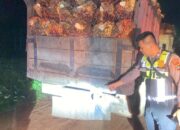 Hantam Truk Sawit, Pemotor di Babar Meninggal Dunia